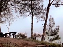 Hangatnya Semangkuk Mi Instan di Kopi Ngadas, Kafe Dataran Tinggi Malang