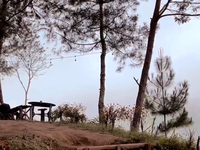 Hangatnya Semangkuk Mi Instan di Kopi Ngadas, Kafe Dataran Tinggi Malang