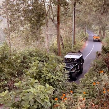 Kopi Ngadas Malang Kopi Ngadas Malang