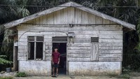 Seorang anak dari komunitas Trans Sosial Suku Batin Sembilan berdiri di depan rumah kayu sederhananya di kawasan Muaro Singoan, Kabupaten Batang Hari, Jambi, Rabu (22/10/2025). Sekitar 70 persen anak usia SMA di kawasan Trans Sosial yang mayoritas berasal dari keturunan Suku Batin Sembilan putus sekolah. Faktor ekonomi, sulitnya akses jalan, serta jarak yang jauh menuju sekolah menengah atas terdekat menjadi penghalang utama. ANTARA FOTO/Wahdi Septiawan