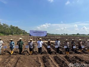 Pemkab Kediri Dukung Program Bongkar Ratoon yang Digagas Kementan