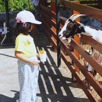 Piataland Malang Piataland Malang Wisata Bebas Tiket Masuk Ramah Anak dan keluarga