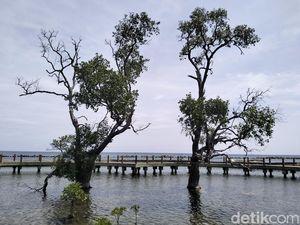 Kepulauan Seribu yang Ternyata Tidak Seribu, Bisa Tetap Menarik Asal...