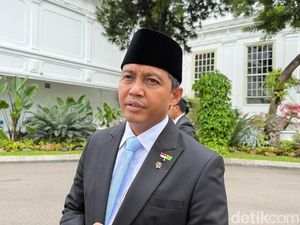 Prabowo Perintahkan Penertiban! Izin Pakai Hutan 1 Juta Hektare Dicabut