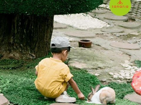 Tanaria Park Prigen Pasuruan