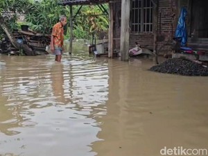 Update Banjir Pati, 4 Desa Terendam hingga 50 Cm