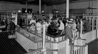 Untuk pertama kalinya, pelanggan bebas berjalan dan memilih sendiri barang yang ingin dibeli tanpa bantuan pelayan toko seperti sistem lama sebelumnya. Foto: Site Archive