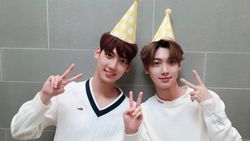 Para Artis Korea Kembar, Sama-sama Berbakat dan Bersinar