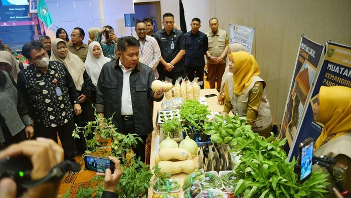 Gubernur Sumsel meninjau bahan pangan dalam pelincuran mulok Kemandirian Pangan.