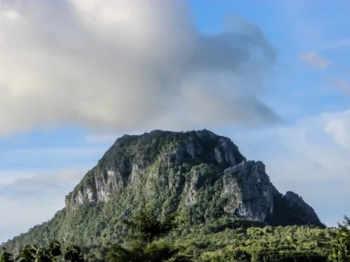 Gunung Fatuleu di Kupang, NTT. (Dok. Website Sman 1 Fatuleu)