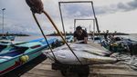 Harga Tuna Ekspor di Ternate Turun Jadi Rp30 Ribu per Kg Harga Tuna Ekspor di Ternate Turun Jadi Rp30 Ribu per Kg