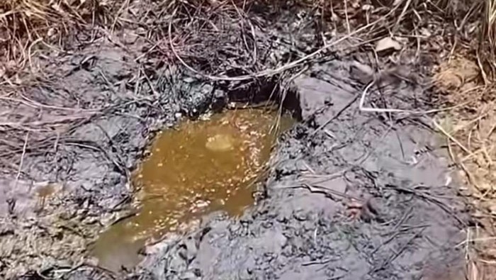 Heboh Muncul Sumber Minyak Solar di Nganjuk Heboh Muncul Sumber Minyak Solar di Nganjuk