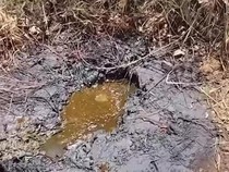 Pertamina Ternyata Pernah Cek Sumber Minyak Di Nganjuk yang Viral