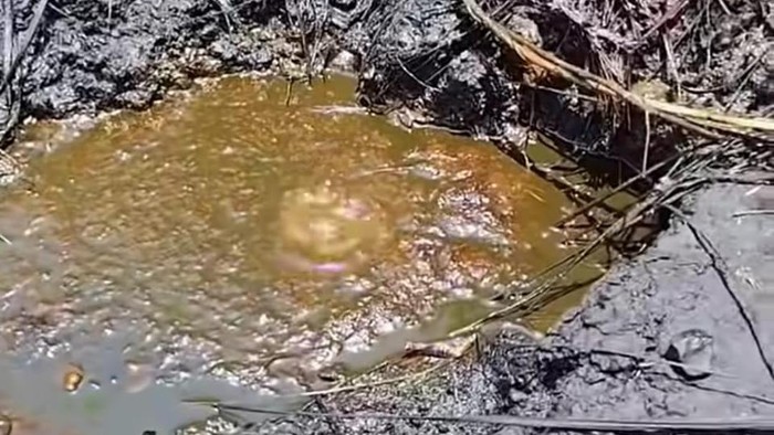 Sumber Minyak Muncul di Nganjuk Ternyata Sudah Ada Sejak Zaman Belanda