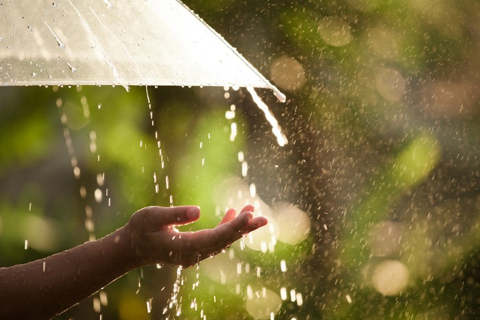 Woman hand with umbrella in the rain in green nature background