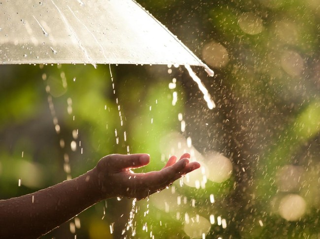 Woman hand with umbrella in the rain in green nature background