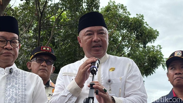 Kepala Dinas Pertamanan dan Hutan Kota DKI Fajar Sauri (Brigitta Belia/detikcom)