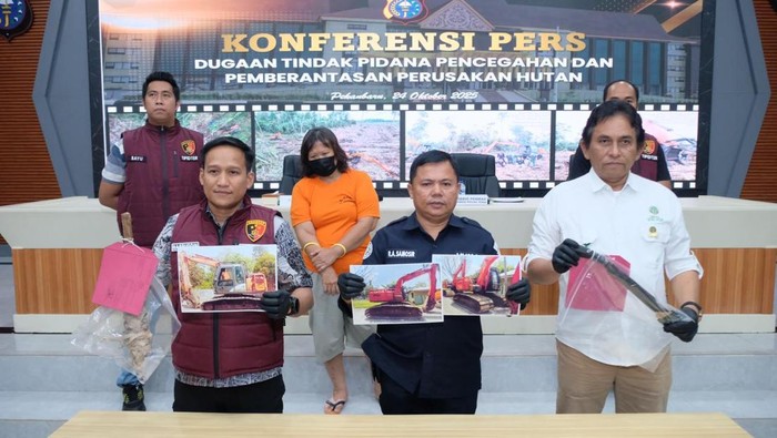 Polda Riau menangkap Gloria Riahta Sinulingga alias Gordon (55) perambah lahan tanpa izin di kawasan hutan di Kabupaten Bengkalis. (dok Istimewa)