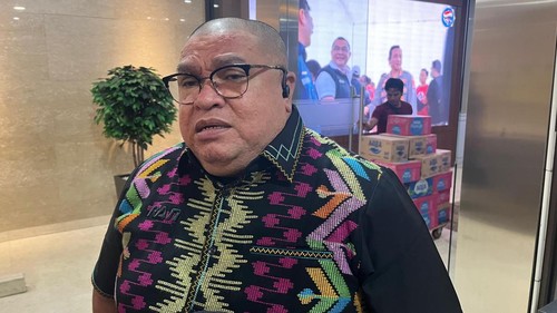 Razman Arif Nasution (Rumondang/detikcom)