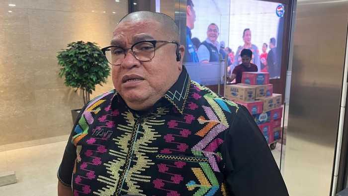 Razman Arif Nasution (Rumondang/detikcom)