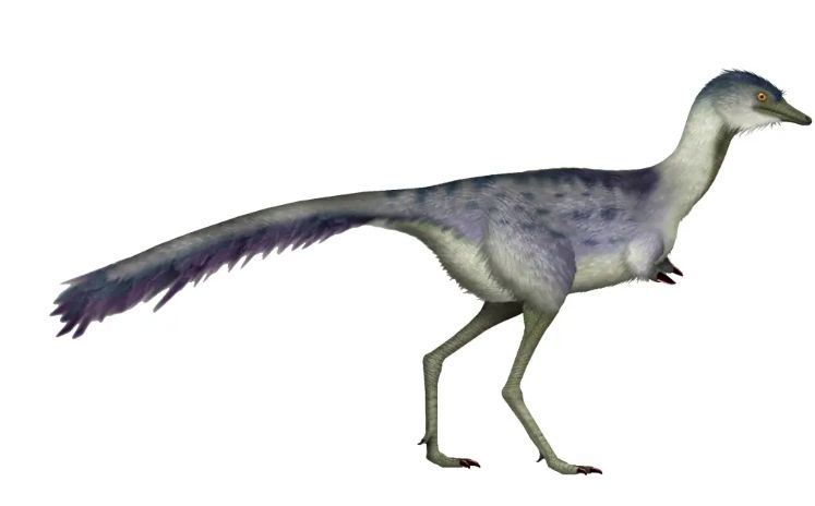 Telur dinosaurus Telur dinosaurus
