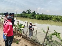 Tragis, Pasutri Lansia Tewas Tenggelam di Sungai Kalijajar Demak