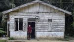 Warga Suku Batin Sembilan Hadapi Ketimpangan di Tengah Sawit Warga Suku Batin Sembilan Hadapi Ketimpangan di Tengah Sawit