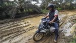 Warga Suku Batin Sembilan Hadapi Ketimpangan di Tengah Sawit Warga Suku Batin Sembilan Hadapi Ketimpangan di Tengah Sawit