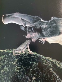 10 Foto yang Diambil Tepat Sebelum Kejadian, Antara Lucu dan Tragis Ada saja kelakuan unik yang terekam dan tersebar di internet. Contohnya sederet foto yang diambil tepat sebelum kejadian ini. Lihat deh, antara lucu dan tragis.