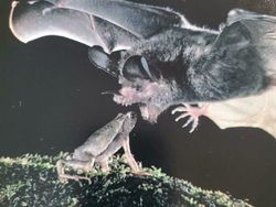 10 Foto yang Diambil Tepat Sebelum Kejadian, Antara Lucu dan Tragis