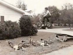 10 Foto yang Diambil Tepat Sebelum Kejadian, Antara Lucu dan Tragis