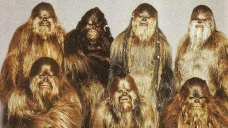 12 Foto Keluarga Paling Absurd, Tapi Malah Jadi Ikonik di Internet
