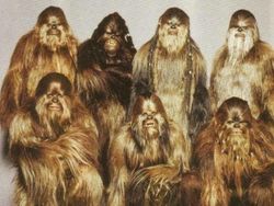 12 Foto Keluarga Paling Absurd, Tapi Malah Jadi Ikonik di Internet