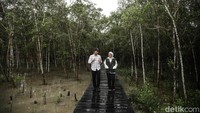 Dari hutan mangrove yang dulu hanya dikenal sebagai penahan abrasi, lahirlah karya seni bernilai tinggi batik mangrove.
