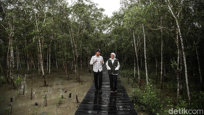 Dari Bakau Jadi Batik, Inovasi Hijau Warga Pantai Sejarah Sejumlah perajib membuat batik mangrove di kawasan Pantai Sejarah, Kabupaten Batubara, Sumatera Utara, Sabtu (25/10/2025). Masyarakat pesisir kini punya cara baru menjaga alam sekaligus menambah penghasilan.