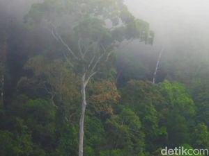 Legenda Sungai Berair Merah dari Kaltim, Kisah Keberanian Pak Moga