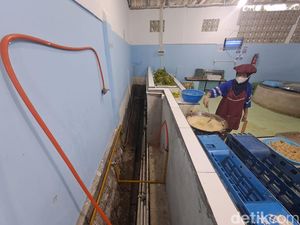 Energi di Balik Dapur MBG, Asa Generasi Indonesia Sehat dan Cerdas