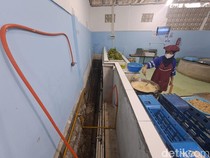 Energi di Balik Dapur MBG, Asa Generasi Indonesia Sehat dan Cerdas