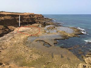 Kisah Jejak Purba dari 90.000 Tahun Lalu, Terawetkan di Pantai Maroko