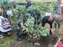Antisipasi Banjir, Bali Tanam 35 Ribu Pohon dan Bersih-bersih 492 Km Sungai