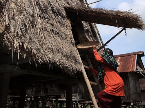 Ilustrasi - Ampa Fare, tradisi menyimpan padi di Kecamatan Wawo, Kabupaten Bima, NTB. (Foto: pesonawisatabima)