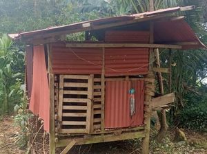 Ternak Warga Tanggamus Diserang Beruang, Polisi Imbau Waspada