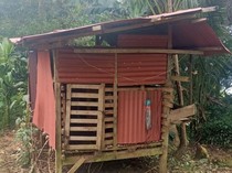 Ternak Warga Tanggamus Diserang Beruang, Polisi Imbau Waspada