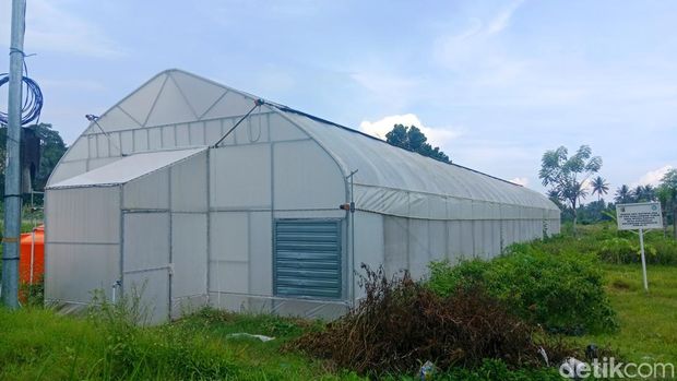 Kebon Telaga, Desa Sukamulia, Kecamatan Sukamulia, Lombok Timur, NTB, tempat wisata murah yang menawarkan serunya berenang dan belajar bertani. Kebon Telaga, Desa Sukamulia, Kecamatan Sukamulia, Lombok Timur, NTB, tempat wisata murah yang menawarkan serunya berenang dan belajar bertani.