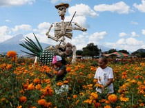 Kerangka Raksasa Hiasi Perayaan Hari Orang Mati