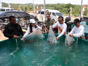 Kementrans Proyeksikan Kawasan Transmigrasi Barelang Jadi Wisata Terpadu