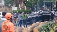 Pohon Tumbang Timpa Lexus di Pondok Indah, Pengemudi Tewas Pohon Tumbang Timpa Lexus di Pondok Indah, Pengemudi Tewas