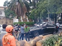 Lexus Tertimpa Palem di Pondok Indah, Sopir Tewas