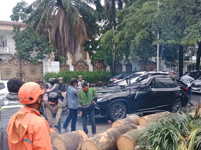 Mobil Lexus tertimpa pohon tumbang di Pondok Indah (dok. BPBD DKI) Mobil Lexus tertimpa pohon tumbang di Pondok Indah (dok. BPBD DKI)