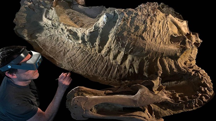 Penyusun fosil Tyler Keillor dari Universitas Chicago bersama mumi dinosaurus yang dijuluki βEd Jr.,β yang terendam banjir sekitar 66 juta tahun lalu. Penyusun fosil Tyler Keillor dari Universitas Chicago bersama mumi dinosaurus yang dijuluki βEd Jr.,β yang terendam banjir sekitar 66 juta tahun lalu.